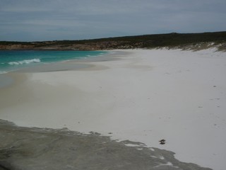Dolphin Beach