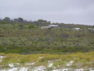 The Van Overlooking the Bay
