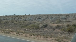 P1010222