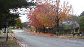 P1010330