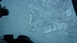 P1010390
