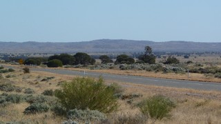 P1010526