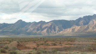 P1010585