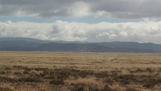 P1010702