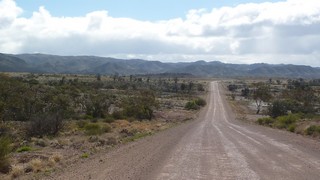 P1010703
