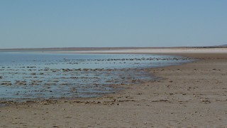 P1010774