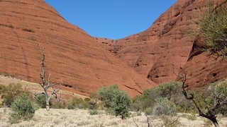 P1020003
