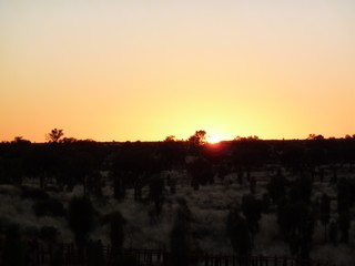 P1020020