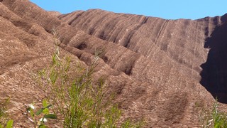P1020062
