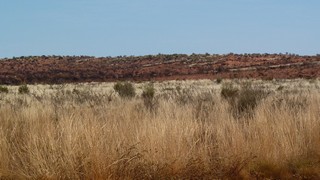 P1020217