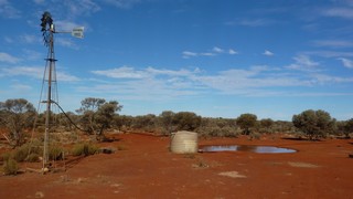 P1020248