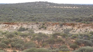 P1020258