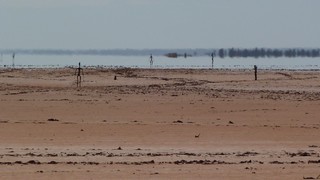 P1020332