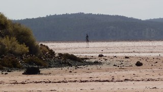 P1020335