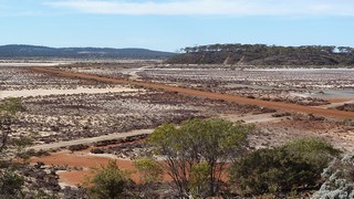 P1020352