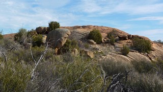 P1020357