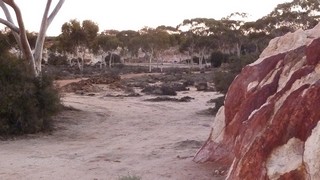 P1020364