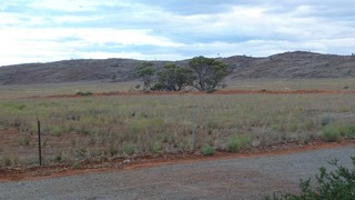 P1020462