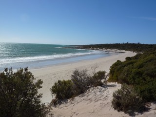 P1020503