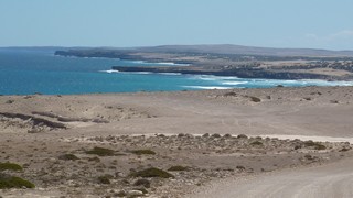 P1020539