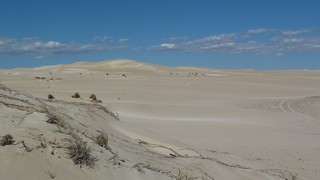 P1020548