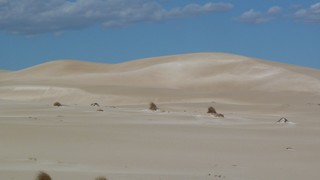 P1020549