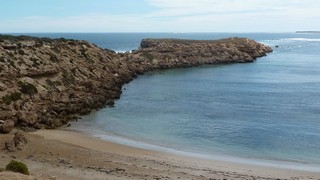 P1020557