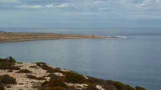 P1020571
