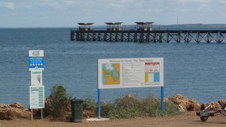 P1020574