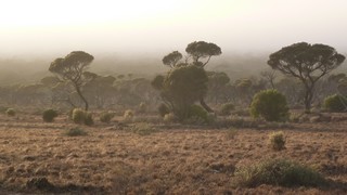 P1020577