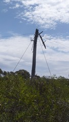 P1020599