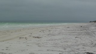 P1020602