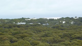 P1020604