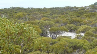 P1020607