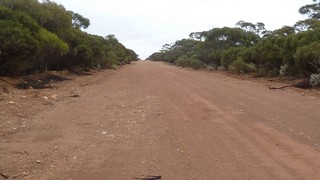 P1020613