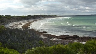 P1020627