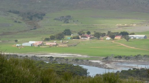 P1020642