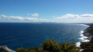 P1020656