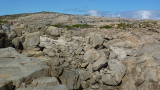 P1020661