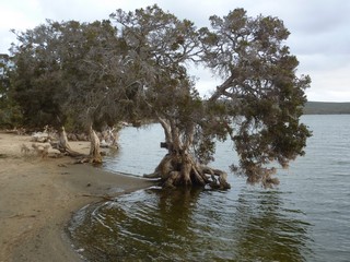 P1030197