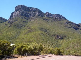 P1030226