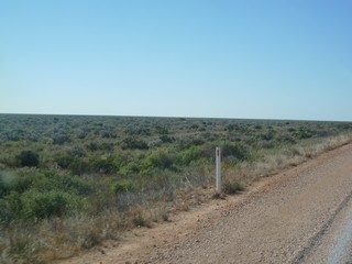 P1030320