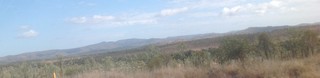 IMG_0351(2)