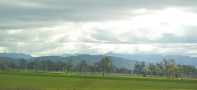 P1030343(2)