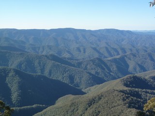 P1030361