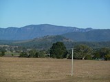 P1030411