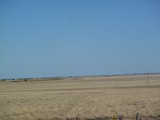 P1030535
