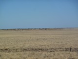 P1030536