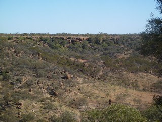 P1030548
