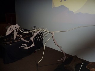 P1030558